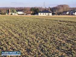 9ar. Budowlana działka w Błoniu. - Obrazek 1