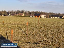 9ar. Budowlana działka w Błoniu. - Obrazek 2