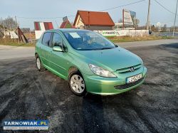 Peugeot 307 2.0hdi 90km 01r - Obrazek 1