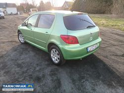 Peugeot 307 2.0hdi 90km 01r - Obrazek 3