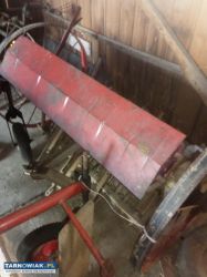 Siewnik poznaniak - Obrazek 1