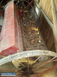 Siewnik poznaniak - Obrazek 2