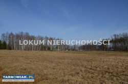 Działka budowlana w dąbrowie tarnowskiej. - Obrazek 1