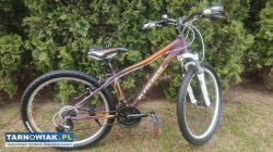 Rower 26 Kross Lea alu rama 15 cali sprawny - Obrazek 1