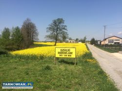 Działka budowlana Pawęzów - Obrazek 3