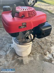 Silnik honda gcv160 - Obrazek 4