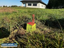 Geodeta Uprawniony, Geodezja, Mapy, podziały - Obrazek 1