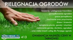 Koszenie karczowanie usługi ogrodnicze - Obrazek 1