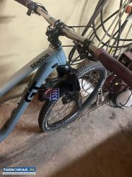 GT Sensor Sport 29 2024 (z oryginalną kierownicą) - Obrazek 2