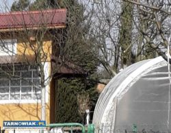 Sprzedam działkę  ROD - Obrazek 2