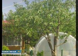 Sprzedam działkę  ROD - Obrazek 1