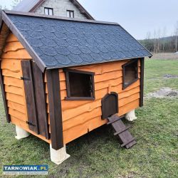 Kurnik domek dla Kurek - Obrazek 3