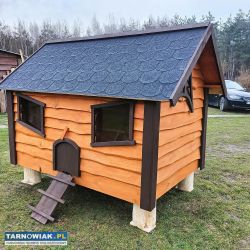 Kurnik domek dla Kurek - Obrazek 2