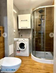 Mieszkanie do wynajęcia 45m - Obrazek 3