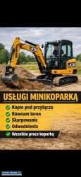 Minikoparka usługi koparka - Obrazek 1
