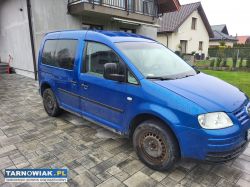 Caddy sdi - Obrazek 1