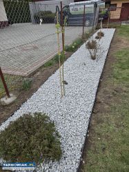 Usługi ogrodnicze - Obrazek 2