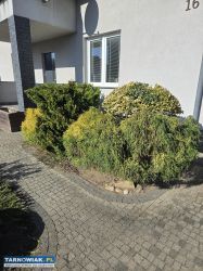 Usługi ogrodnicze - Obrazek 3