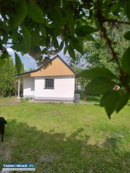 Działka ROD - Obrazek 1