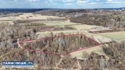 Działka Leśna  miejsce na relaks i wypoczynek - Obrazek 1