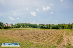 Działka zagrodowa Poręba Radlna-gm. Tarnów! - Obrazek 3