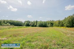 Działka zagrodowa Poręba Radlna-gm. Tarnów! - Obrazek 1