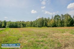 Działka zagrodowa Poręba Radlna-gm. Tarnów! - Obrazek 2