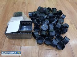 Puszki Elektryczne Podtynkowe - Obrazek 1