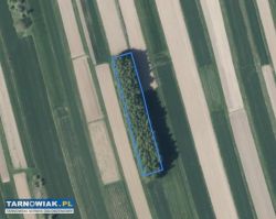 Działka inwestycyjna - Obrazek 2