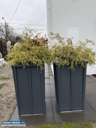 Duże donice ogrodowe / tarasowe / blacha na rąbek - Obrazek 2
