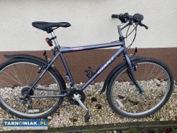 Sprzeda rower GIANT GSR400 yountimer - Obrazek 2