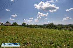 Dąbrówka Szczepanowska !!! 20,01 ara !!! - Obrazek 2