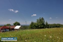 Dąbrówka Szczepanowska !!! 20,01 ara !!! - Obrazek 3