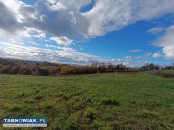 Sprzedał działkę  2,49ha w Tuchowie - Obrazek 2