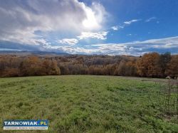 Sprzedał działkę  2,49ha w Tuchowie - Obrazek 1