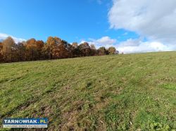 Sprzedał działkę  2,49ha w Tuchowie - Obrazek 3