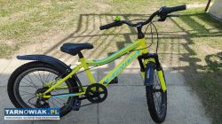 Rower 20 Kands Smart rama 11 cali polski - Obrazek 1