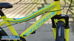 Rower 20 Kands Smart rama 11 cali polski - Obrazek 2