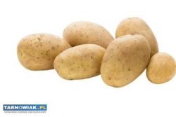 Sprzedam ziemniaki - Obrazek 1