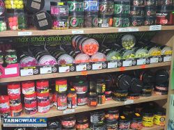 Wędkarski otwarty w łęgu tarnowskim - Obrazek 2