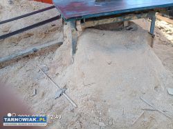 Trociny oddam - Obrazek 1