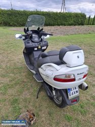 Suzuki Burgman - Obrazek 3