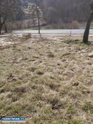 Sprzedam działkę budowlaną Janowice - Obrazek 2