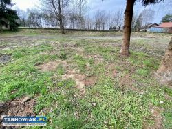 Działka budowlana w Zaczarniu - Obrazek 3