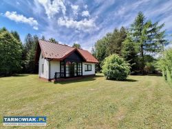 Nowa Jastrząbka / Dom w otoczeniu lasu - Obrazek 1