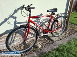 Rower Olpram - Obrazek 2