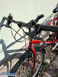 Rower Olpram - Obrazek 3