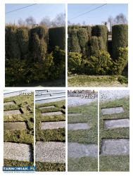 Usługi ogrodnicze - Obrazek 3