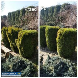 Usługi ogrodnicze - Obrazek 2