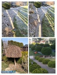 Usługi ogrodnicze - Obrazek 4